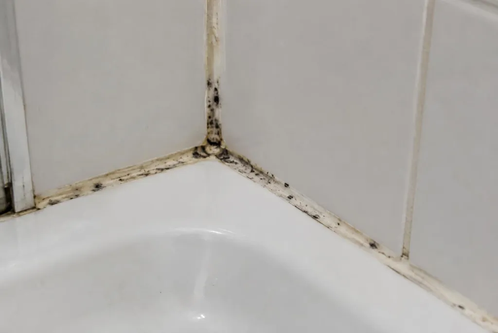 Kitbedrijf Doesburg – beschimmelde kitranden
